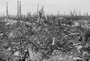 western front No-mans land