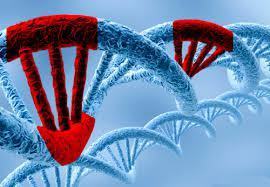 interruptor molecular