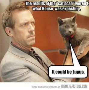 House-cat-lupus