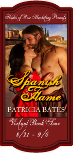Spanish Flame VBT Banner