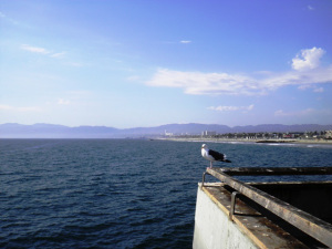 Venice Beach