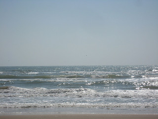 Sea