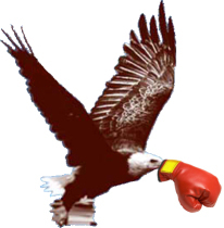 EagleEye