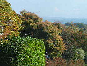 Mid October 2013, looking out towards the High Weald, Sussex