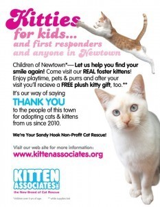 Kitties for Kids Newtown