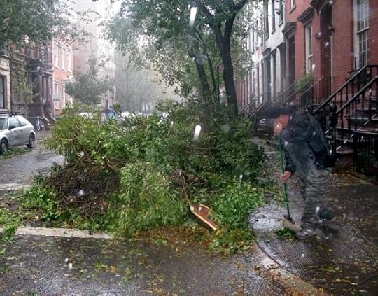 Hurricane Sandy Clean Up