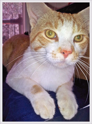 This is Jamie - perhaps you have met him before!