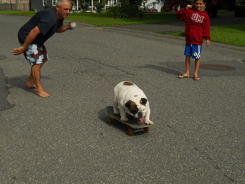 Ziggy gets a running start