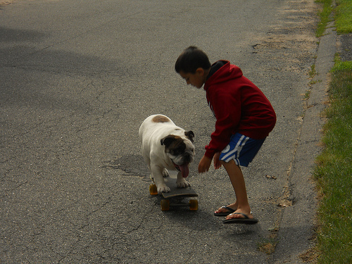 Ziggy and friend