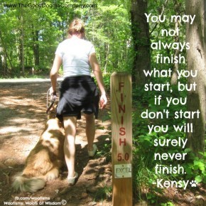 finishIMG 1529 290x290 Woofism: Woofs of Wisdom© funny dog blog