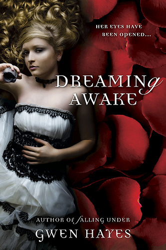 Dreaming Awake