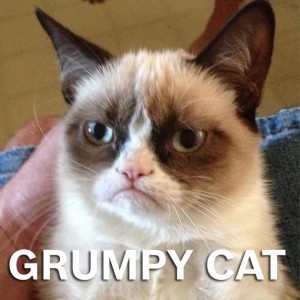 Grumpy_Cat_SWSX_Festival