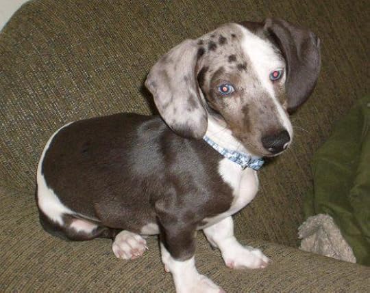 Heaven's newest angel, Otis