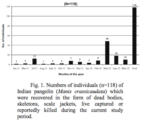 Pangolin Seizures