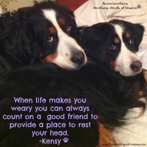 goodfriendpatgol 290x290 Woofisms: Woofs of Wisdom© funny dog blog