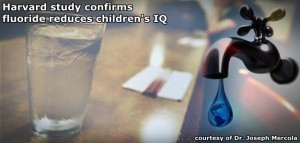Harvard Study Confirms Fluoride Reduces Children's IQ