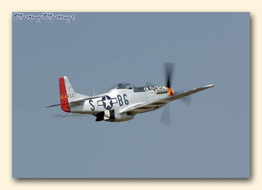 P-51Story6