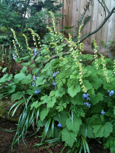 ... and you might have this in a few years!