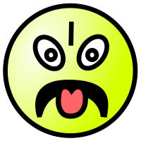 I don't Like your book