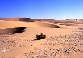 Desert