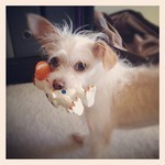 3b68c9e0da8f11e183fd123138106140_5