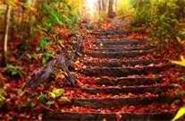 autumn stairs