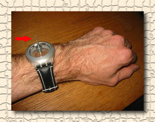FtrPltWatch1
