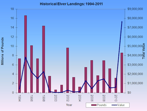 Elver Prices