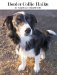 Border Collie Haiku by Angelo Dirks