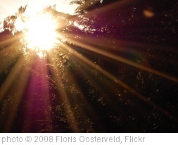 'Sunbeams' photo (c) 2008, Floris Oosterveld - license: http://creativecommons.org/licenses/by/2.0/