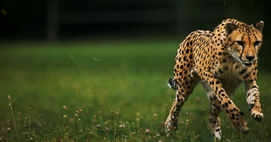 Speeding Your Business into the Stractical Zone