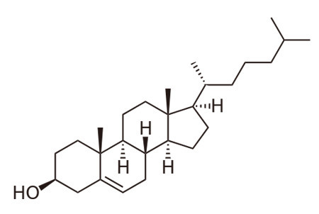 Cholesterol molecule