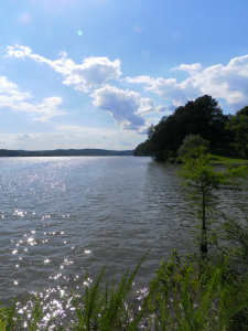 SAMSUNG DIGITAL CAMERA