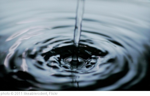 'Ripples' photo (c) 2011, likeablerodent - license: http://creativecommons.org/licenses/by-sa/2.0/