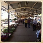 A2 Farmer's Market