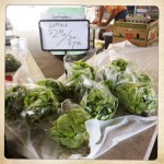 lettuce give thanks