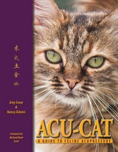 Acu_Cat_feline_acupuncture
