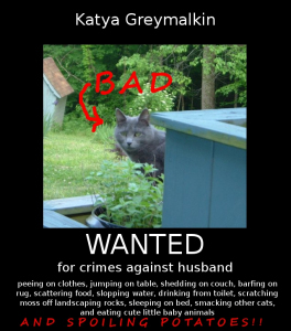 Bad Katya