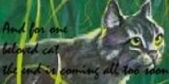 graystripe Pictures, Images and Photos