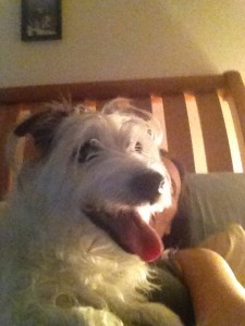 Zelda on top of me