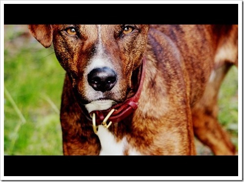 11 July 5 02-06-2013 16-00-37