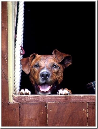 11 July 6 08-07-2013 14-49-15