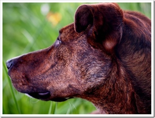 11 July 6 31-05-2013 10-10-30