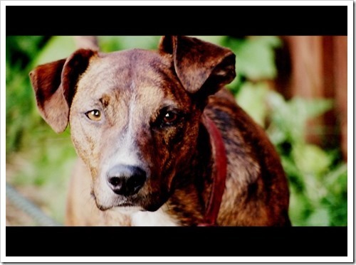 11 July 8 07-07-2013 18-22-04