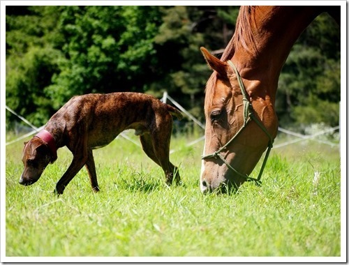 11 July 9 04-07-2013 12-28-46