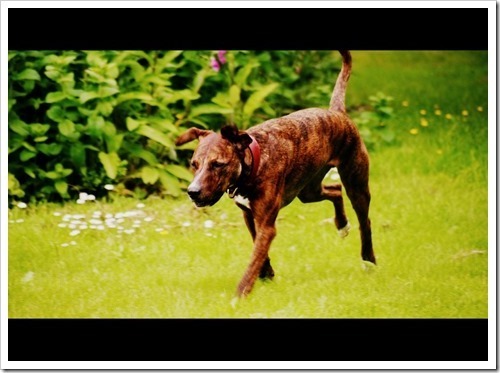 11 July 10 03-07-2013 11-43-21