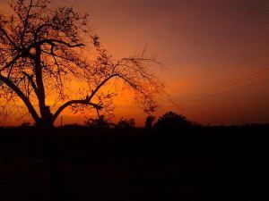 800px-NAtUrE