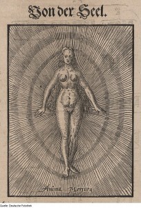 Theosophie & Alchemie