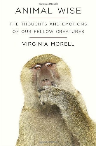 animal thoughts
