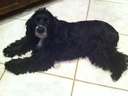 And now, for something completely different...